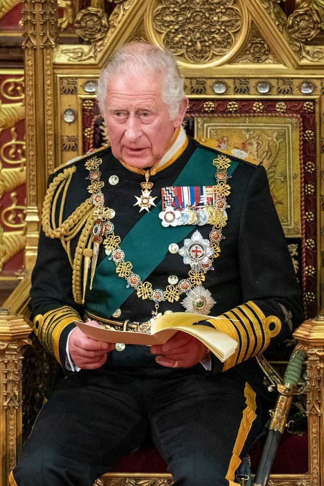 Prince Charles delivers the Queen’s Speech at the State Opening of Parliament this week, and heralds Martyn's Law