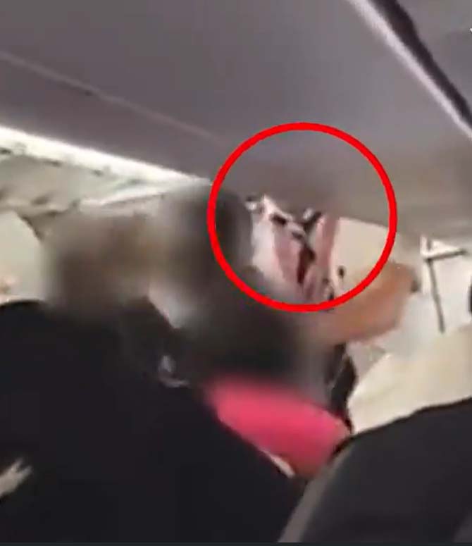 A pilot was punched by a passenger who caused carnage on a plane