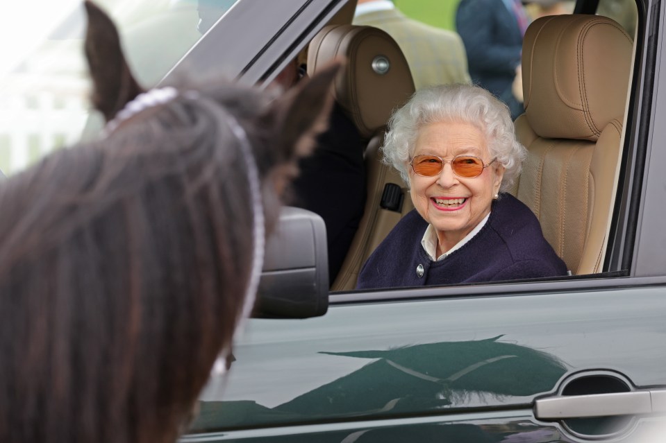 She looked delighted as she pulled up and saw a horse