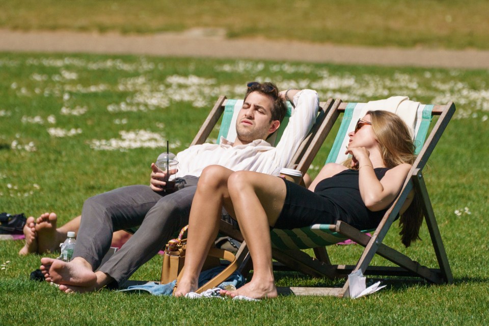 Pals soak up the sun in St James's Park, central London