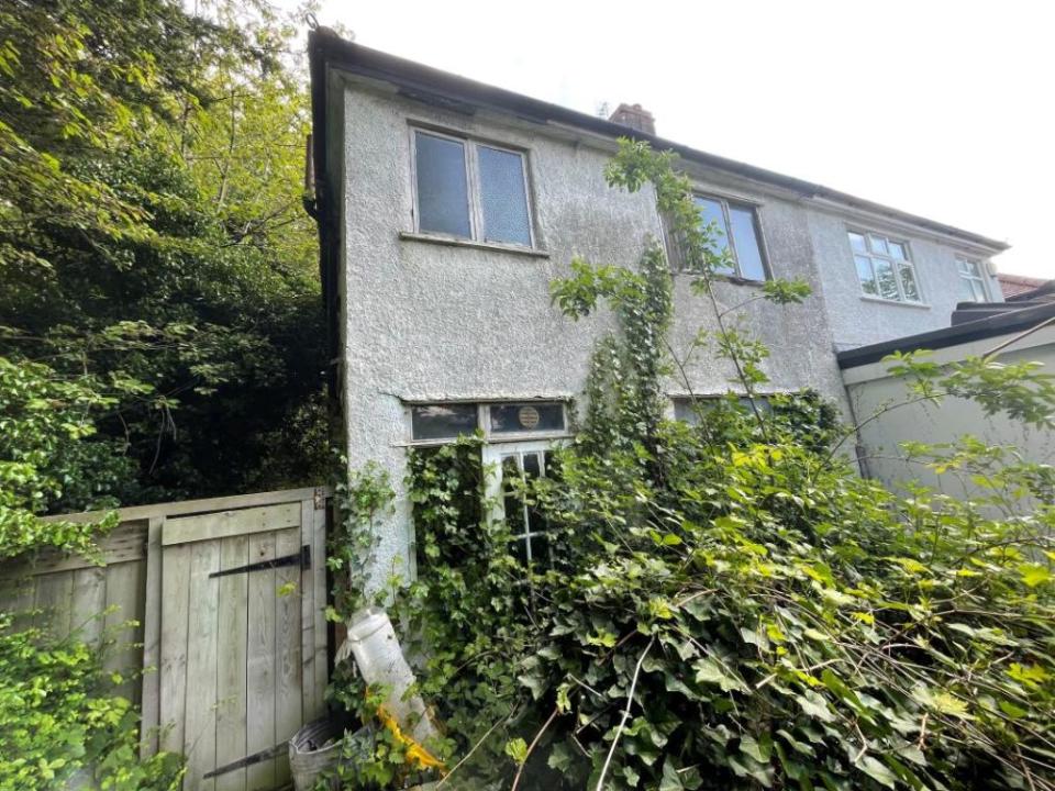 The back garden is full of overgrown ivy and weeds