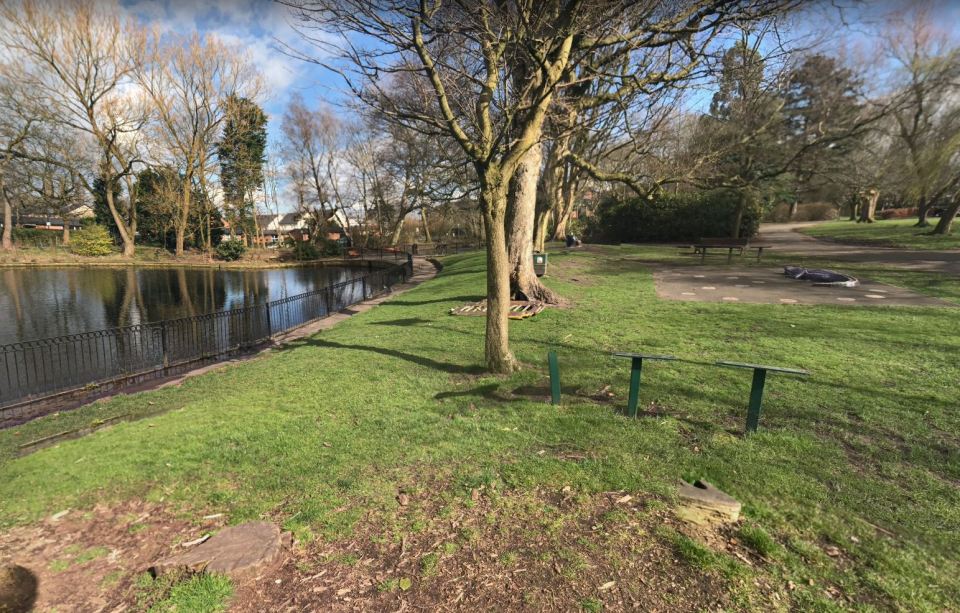 A teenage girl has been seriously injured after she was attacked by a dog in a Greater Manchester park