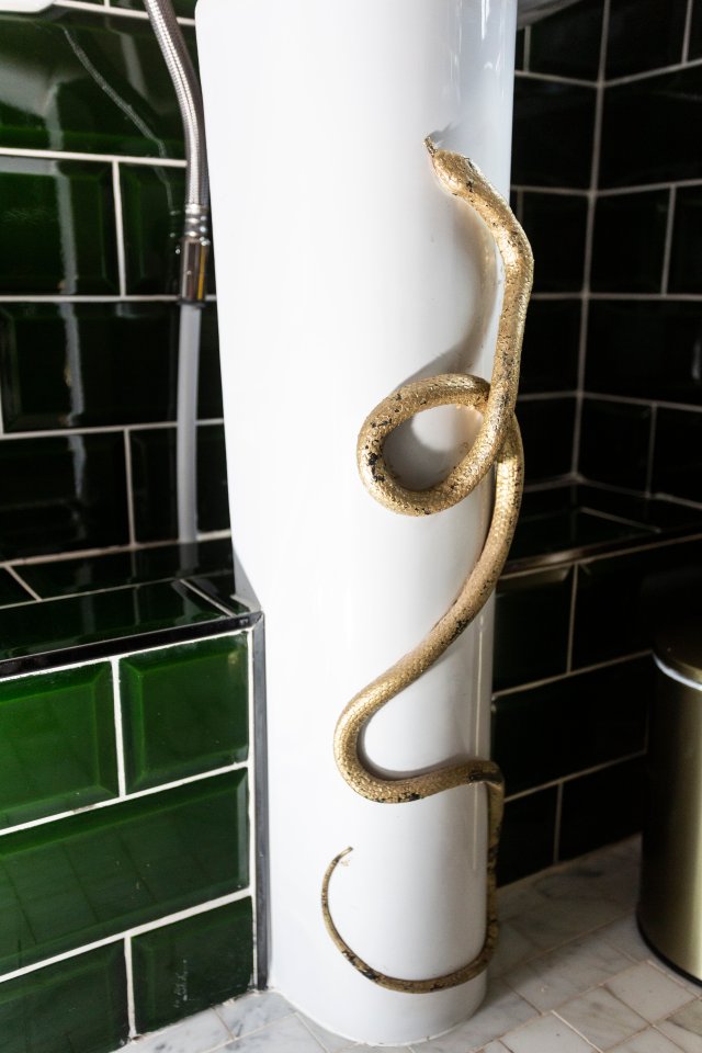 A snake slides up the sink in this green bathroom