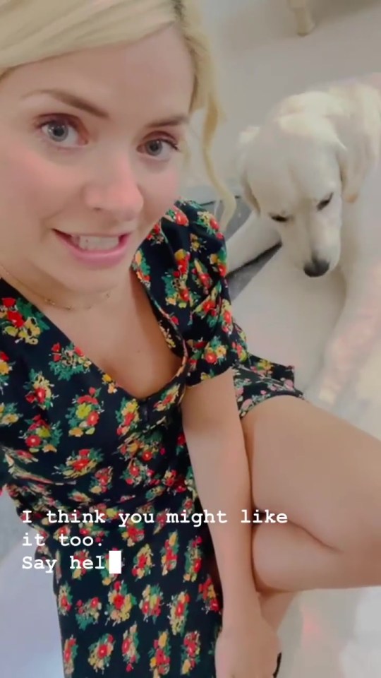 Holly has shared a new hack with her fans that have pets