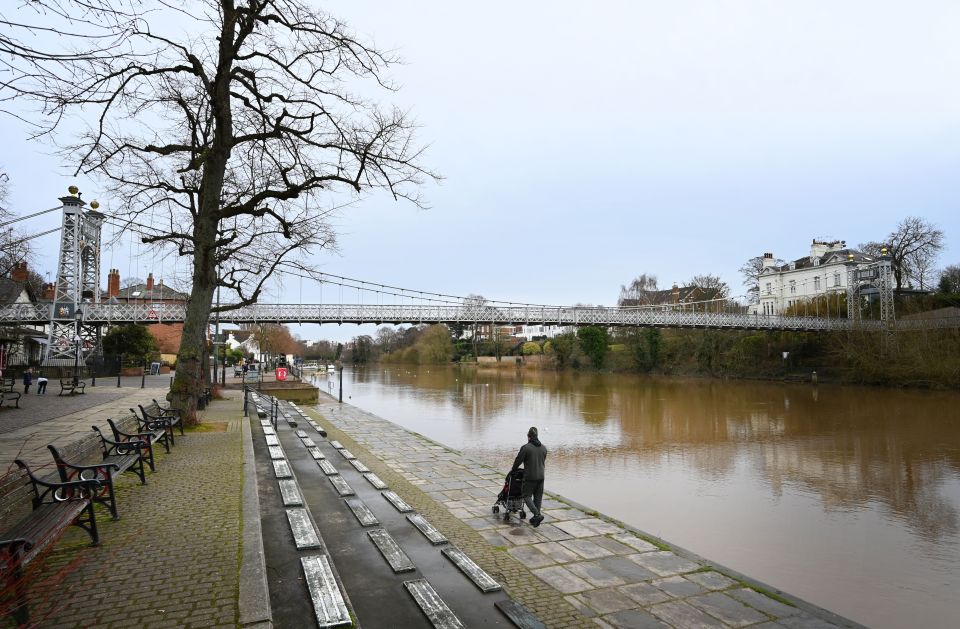 Frank had been attempting to swim across the River Dee at Chester (file photo)