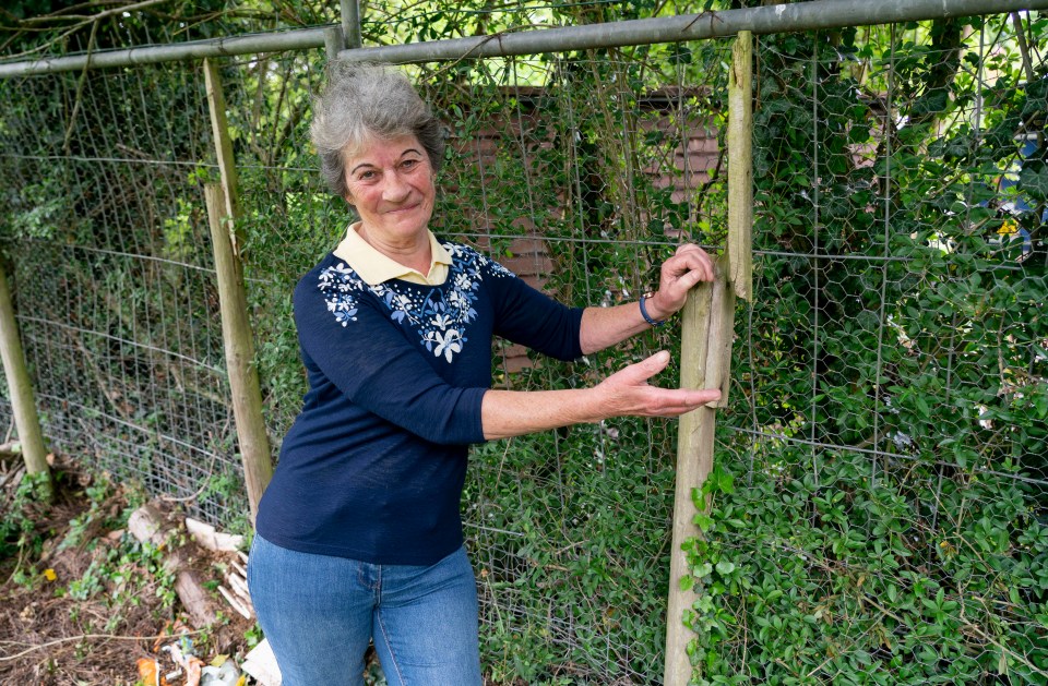 Faith Cox pictured with her broken fence that she hopes will now get replaced