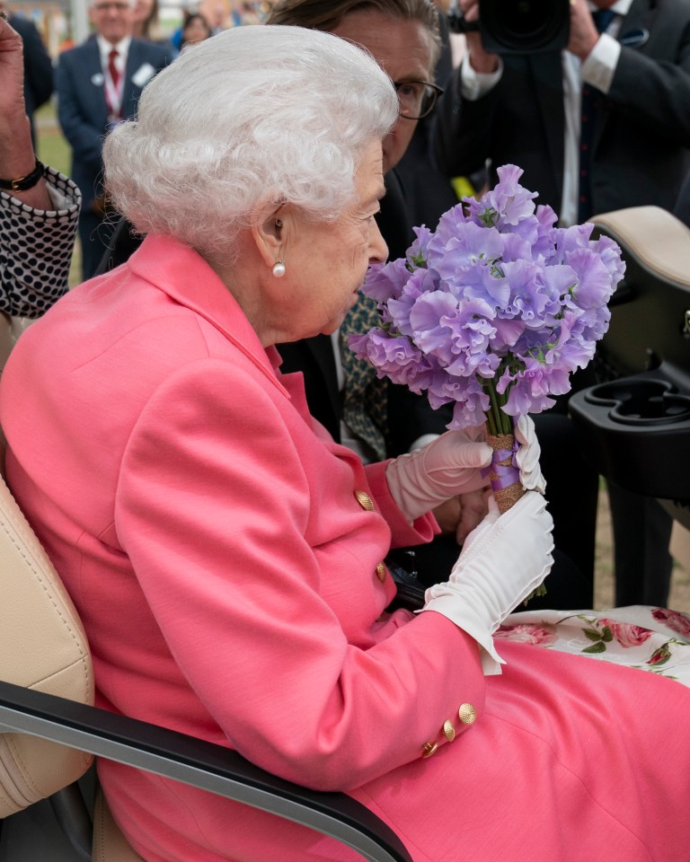 Her Majesty has given her royal seal of approval to the Peter Seabrook sweet pea