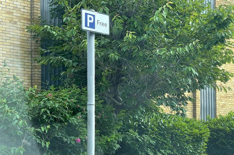 Drivers have been baffled by this sign spotted in Peckham, South London