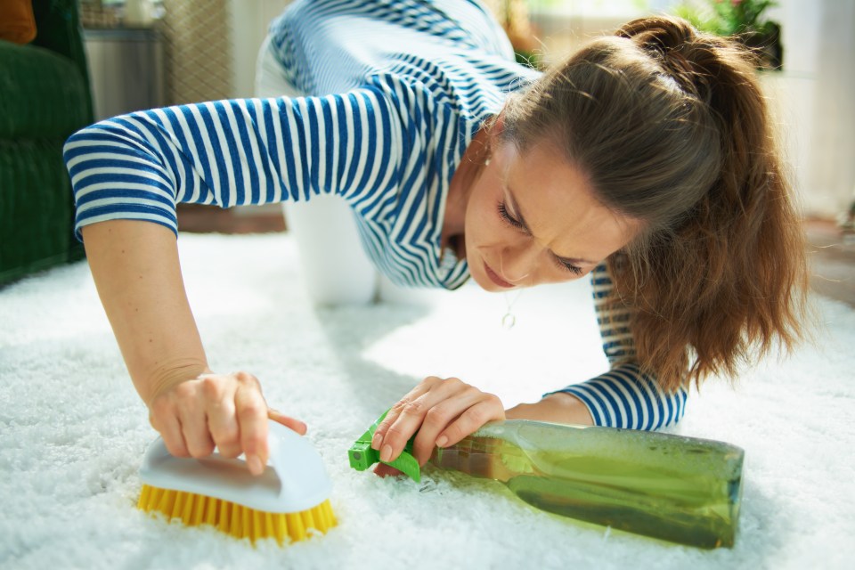 You can clean your carpet in five easy steps