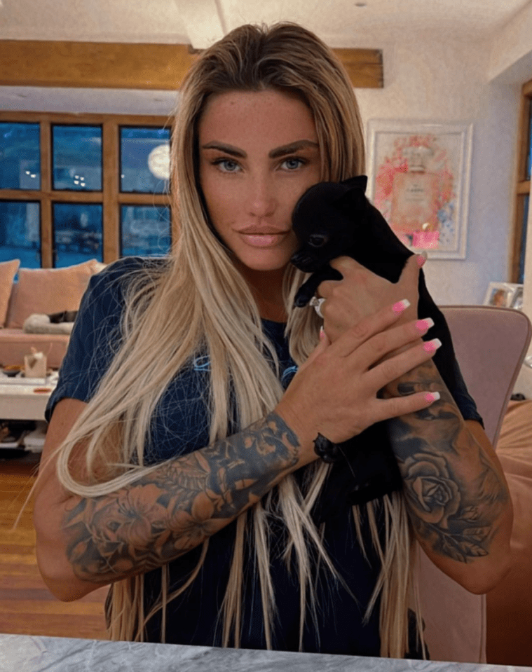 Katie Price's arm tattoos stole the show in her latest photo on Instagram