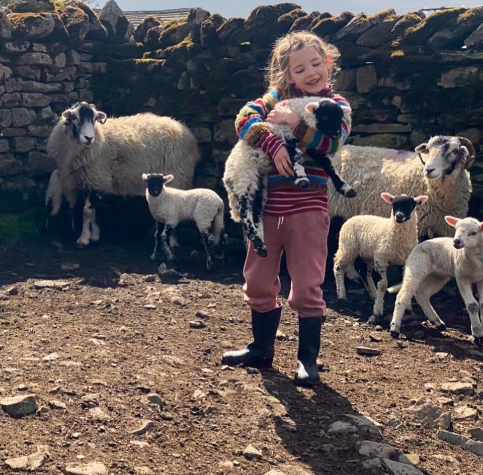 Amanda Owen shared a health update about her new lambs