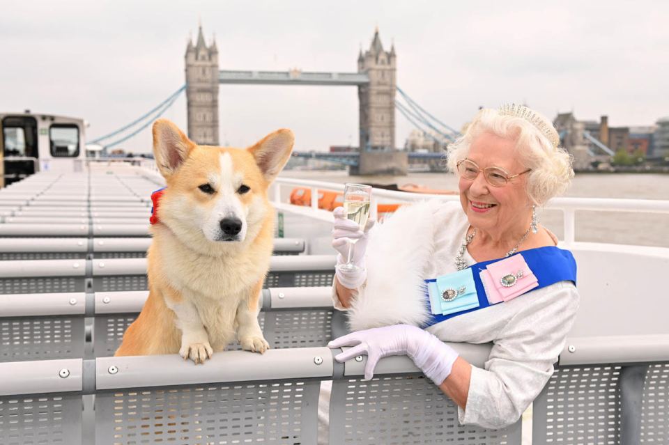 City Cruises has arranged for a Queen lookalike to take a dog on the Thames to launch its Jubilee afternoon tea and gala dinner sailings from June 2-5