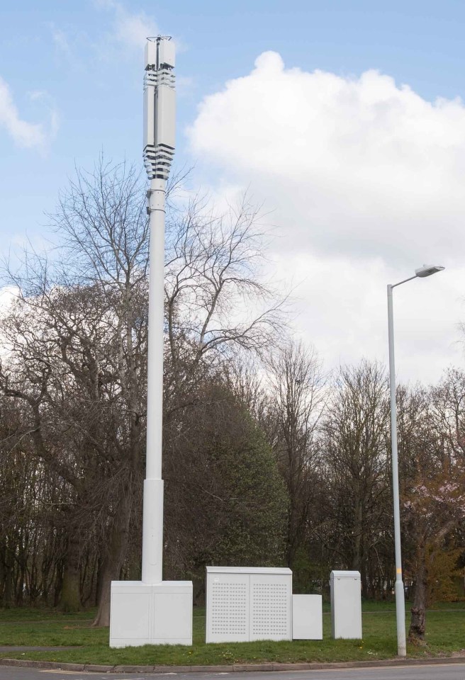 Residents on the street have nicknamed the eyesore the 'metal dildo'