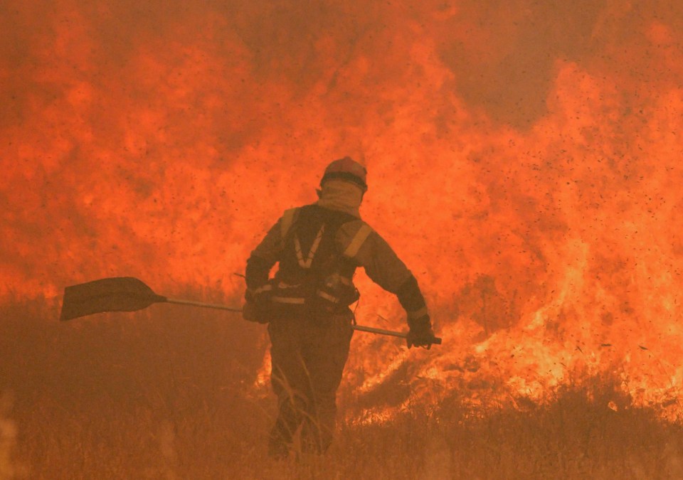 A firefighter braving a wildfire in Pumarejo de Tera near Zamora, northern Spain on Saturday