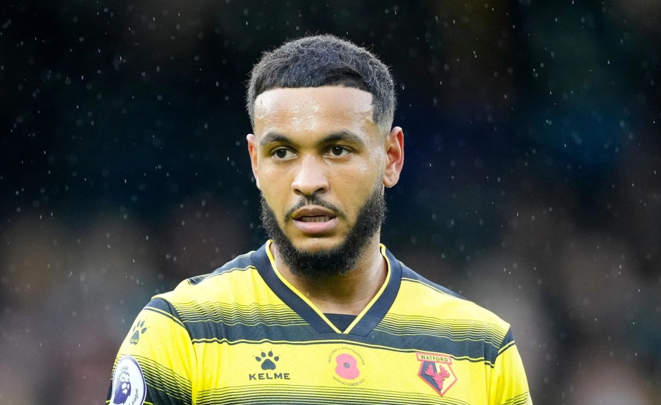 Josh King has also had his Hornets contract terminated following relegation