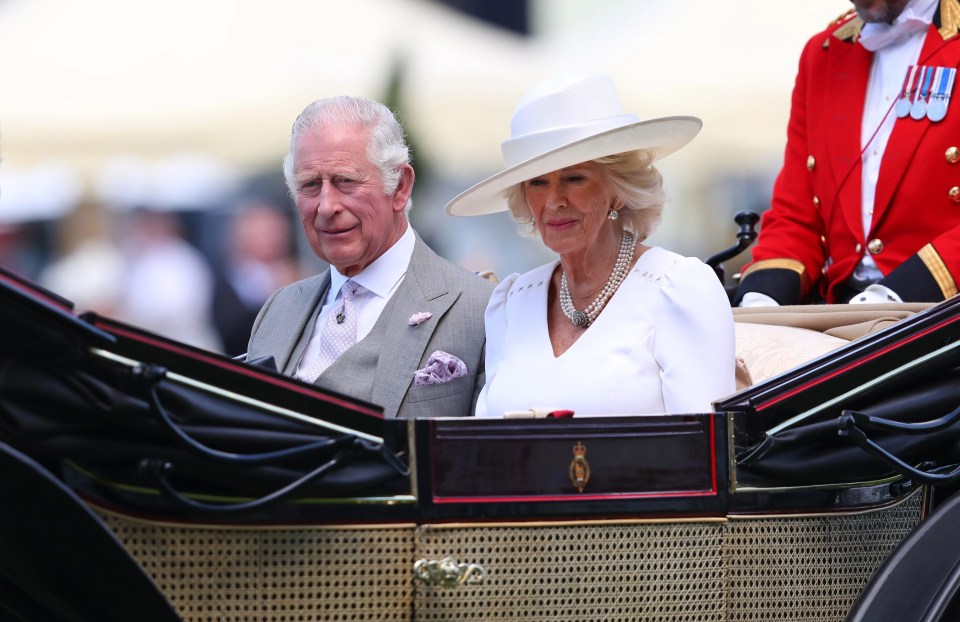 The Prince of Wales and Duchess of Cornwall coordinated in grey, white and lilac