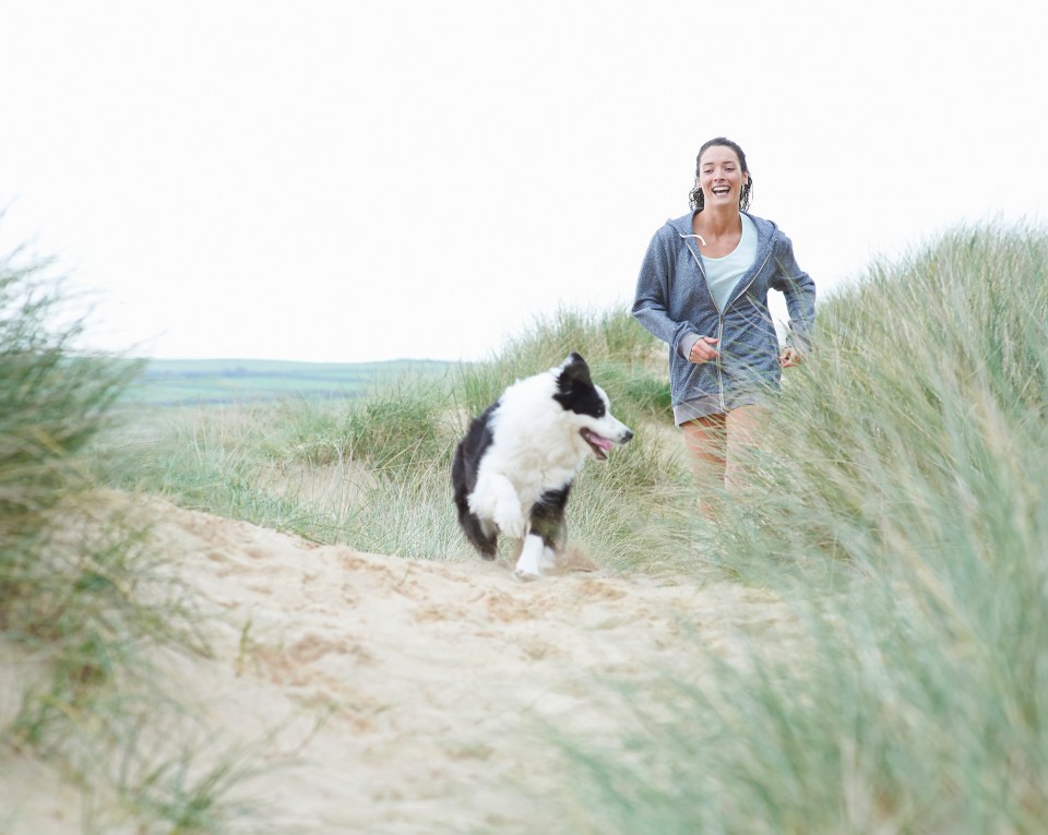 A number of beaches in the UK encourage pets to visit the popular hotspots all year round