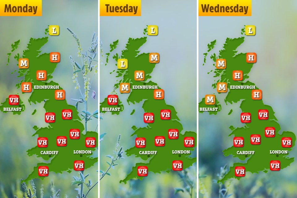 Met Office pollen forecast