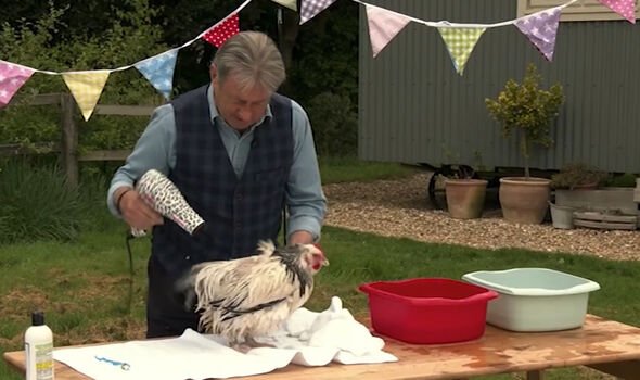 Alan Titchmarsh was seen using a Mark Hill dryer on the hen