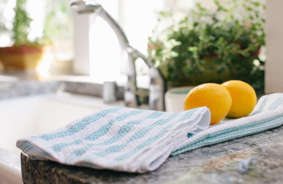 Make sure you regularly clean and change your dishcloths and sponges