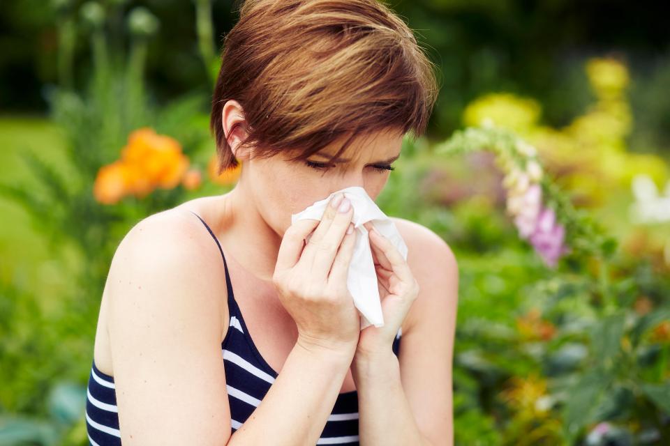 Hay fever will continue to plague millions of Brits this week