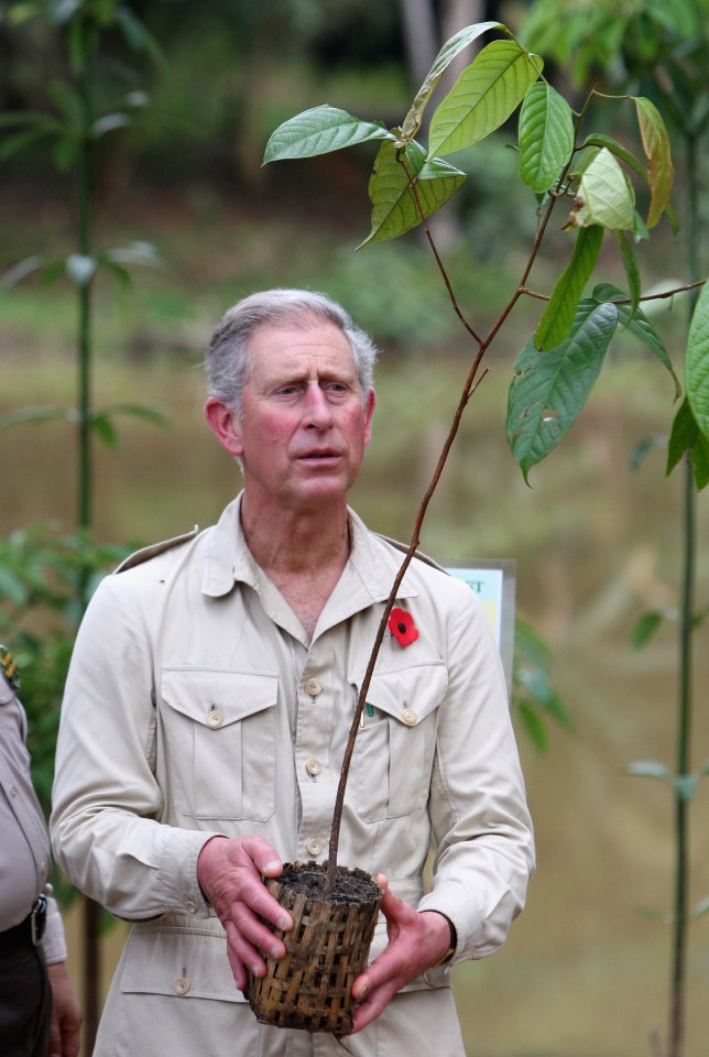 For more than 50 years Prince Charles has used his unique position to promote sustainability and warn against climate change and deforestation