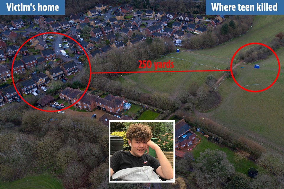 Olly was killed 250 yards from his home