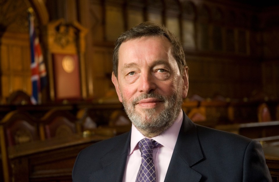 Labour grandee David Blunkett said the strikes will be a massive own goal for unions as they will enrage Brits