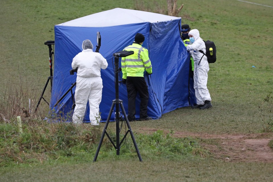 Olly died in a field behind his house after being stabbed