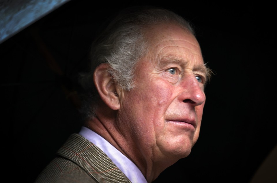 A source told The Times that Prince Charles thinks the Government’s plan to send illegal immigrants to Rwanda is ‘appalling’