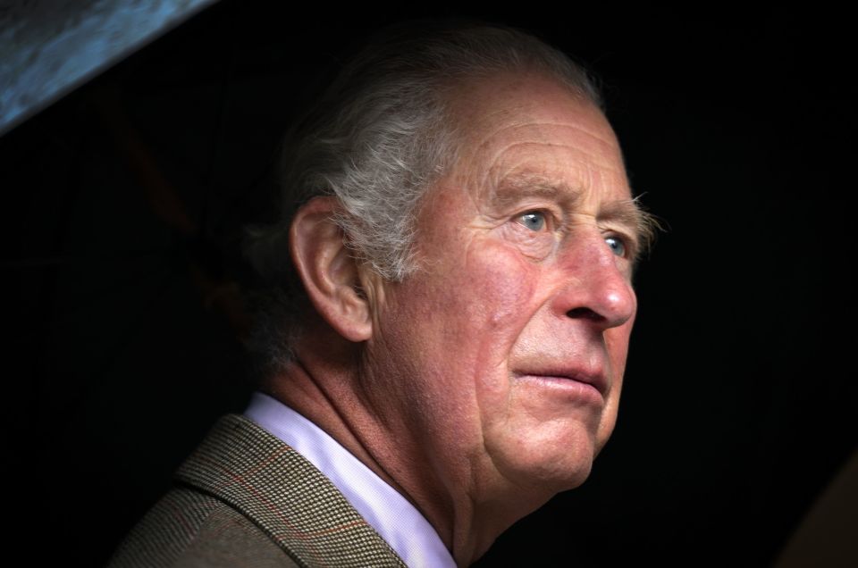 A source told The Times that Prince Charles thinks the Government's plan to send illegal immigrants to Rwanda is 'appalling'