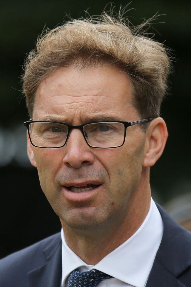 Boris Johnson's allies have lashed out at remainer plotter Tobias Ellwood after he called for the UK to rejoin the Single Market