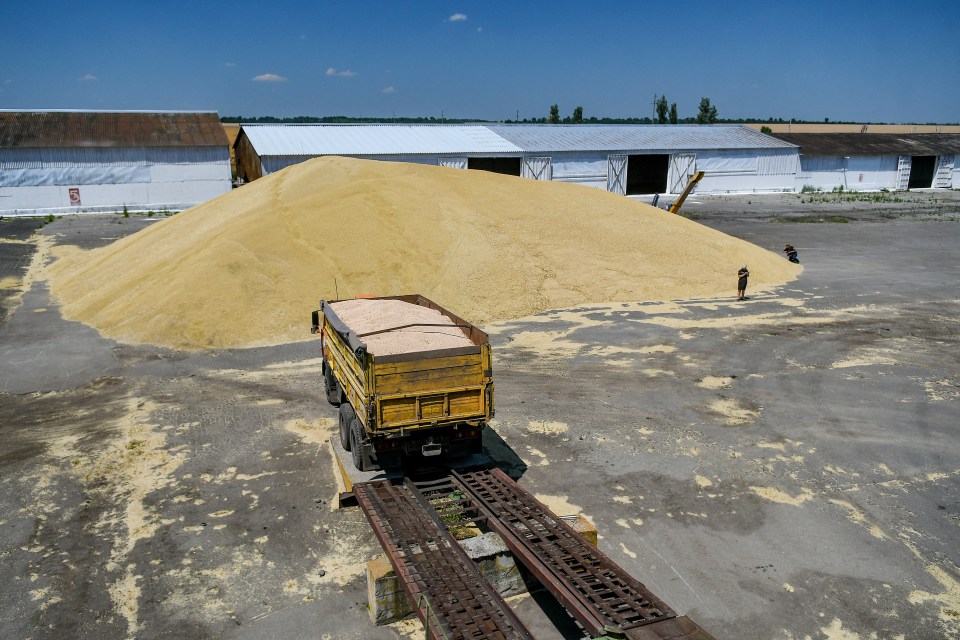 Stranded grain is being held in Ukraine prompting warnings of mass starvation