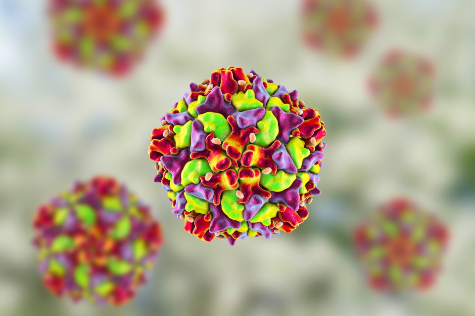 Poliovirus particle.