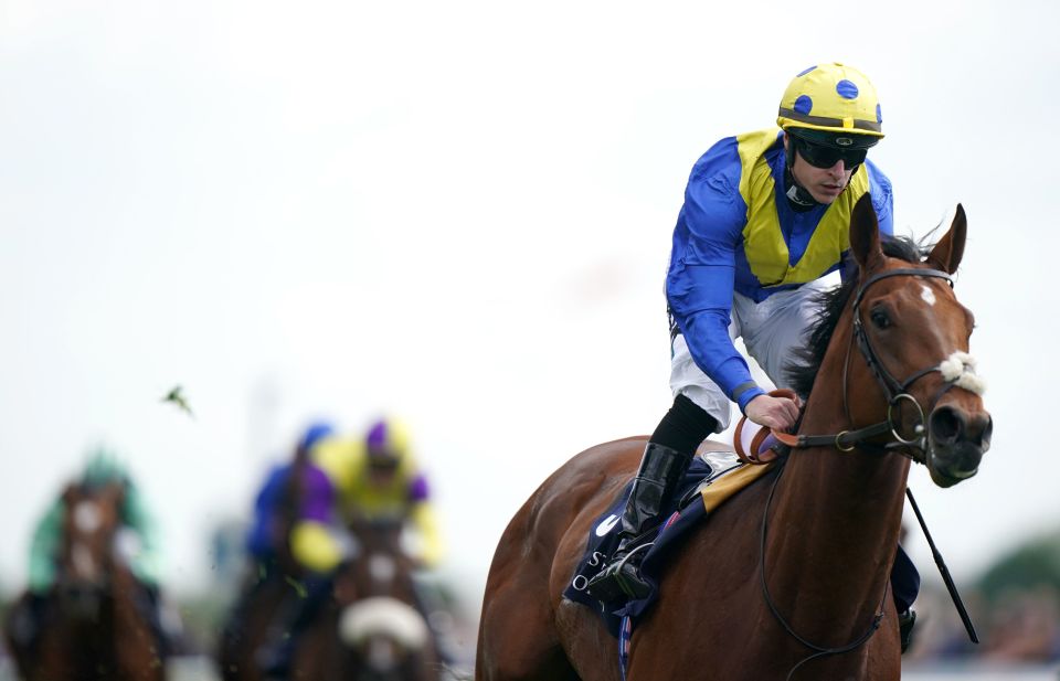 Desert Crown is unbeaten in two starts having won at Nottingham and York