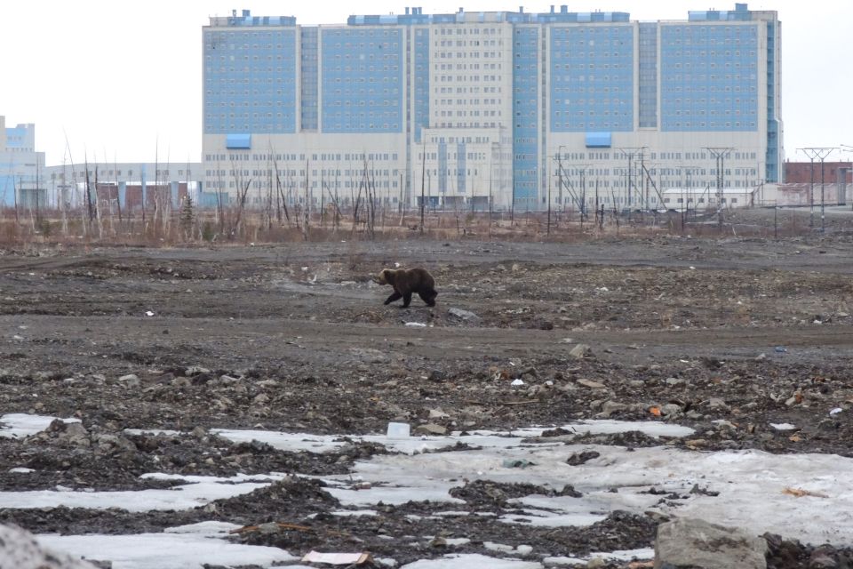 Norilsk in Russia has been described as the most depressing city on earth