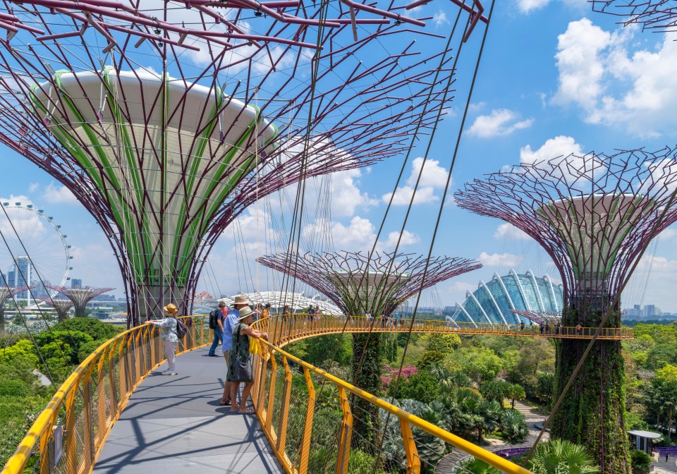 A skyway over the city’s impressive gardens