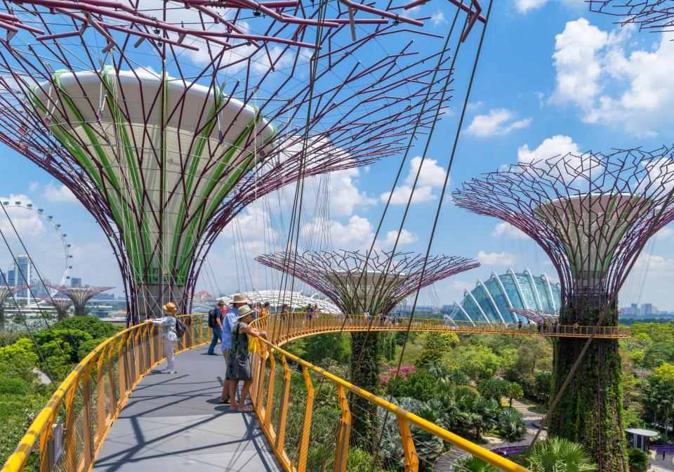 A skyway over the city's impressive gardens