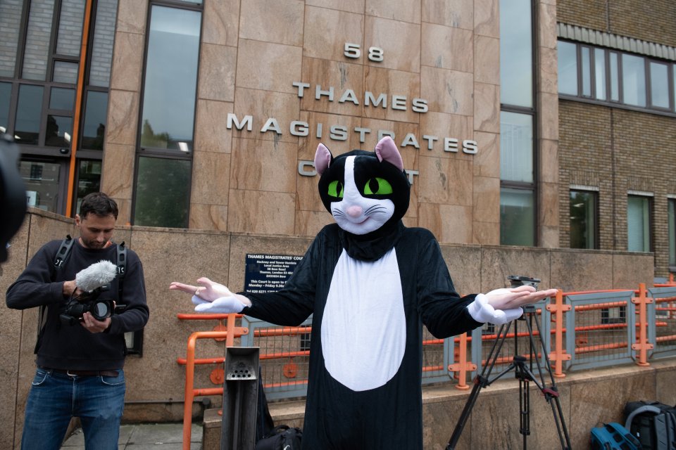 A joker wore a cat costume to the court