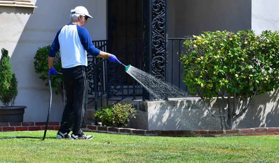 Carlos Real advises to always water your lawn after you mow it