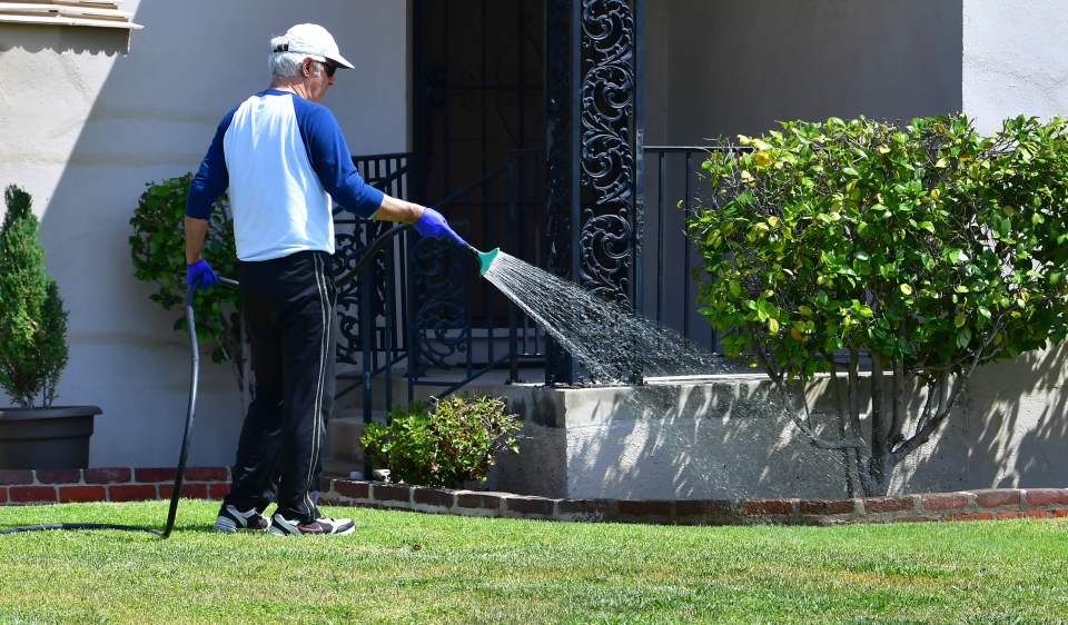 Carlos Real advises watering your lawn after you mow it