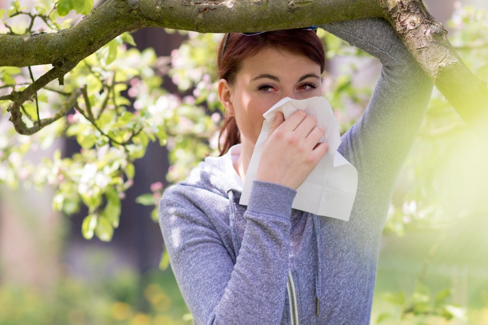 Brits who suffer with hay fever will struggle over the coming days as pollen levels rise