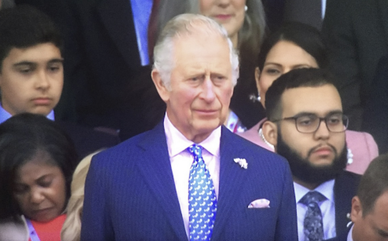 The guest was one of many watching the colourful spectacle outside Buckingham Palace