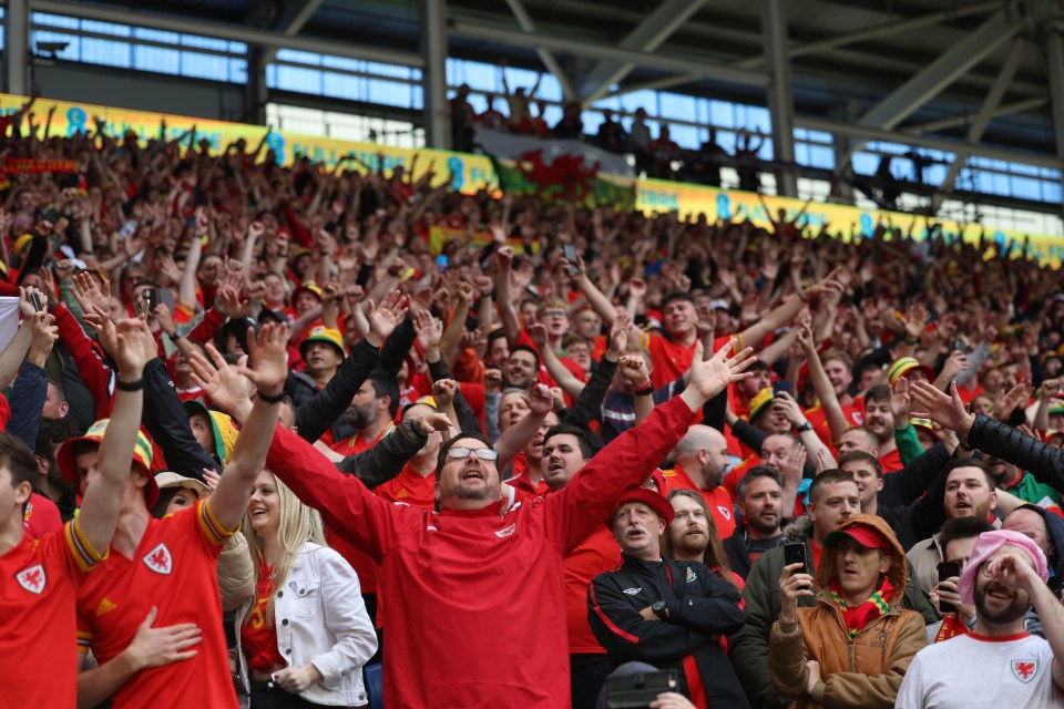 Fans were in great voice during the World Cup play-off clash at the Cardiff City Stadium