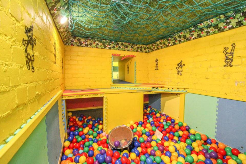 The astonishing mansion comes with its own ball pit