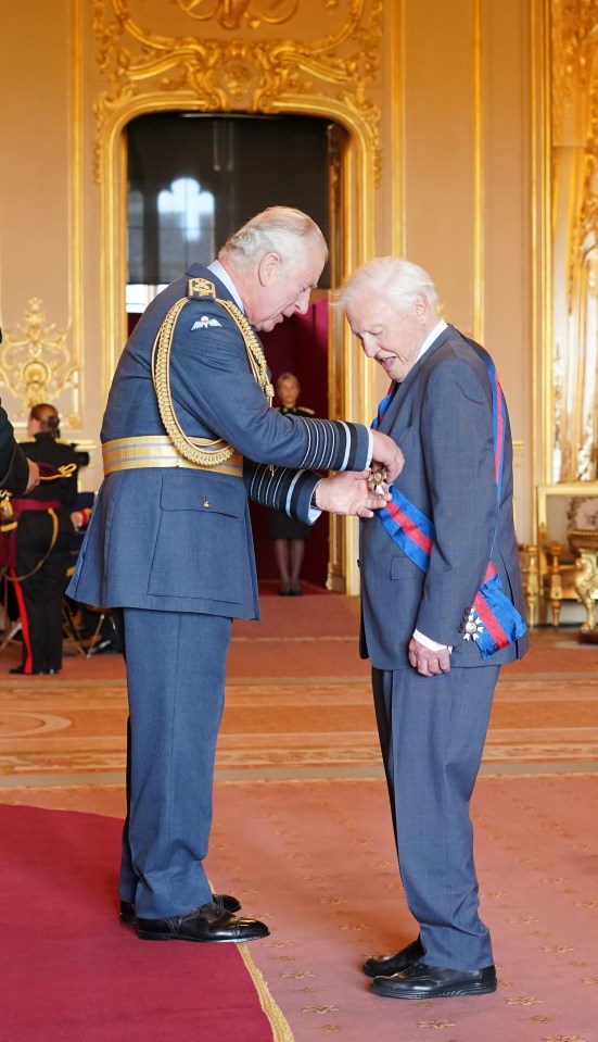 Sir David Attenborough is awarded his second knighthood from fellow avid environmentalist Prince Charles