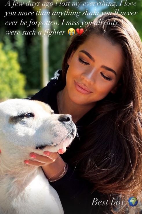 Gemma Owen was heartbroken when she lost her dog