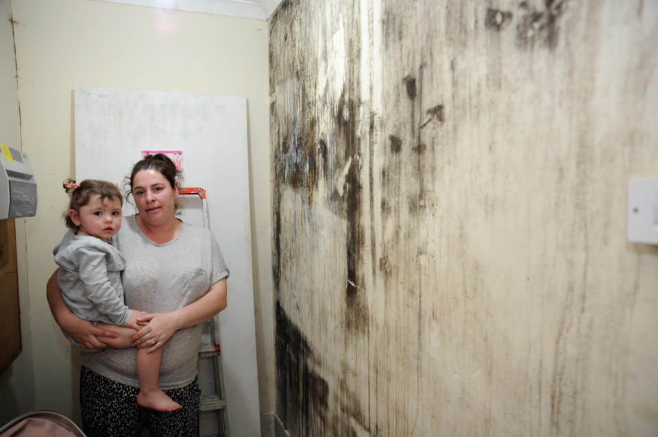 Annemarie says she is worried the damp could be making her daughter's asthma worse