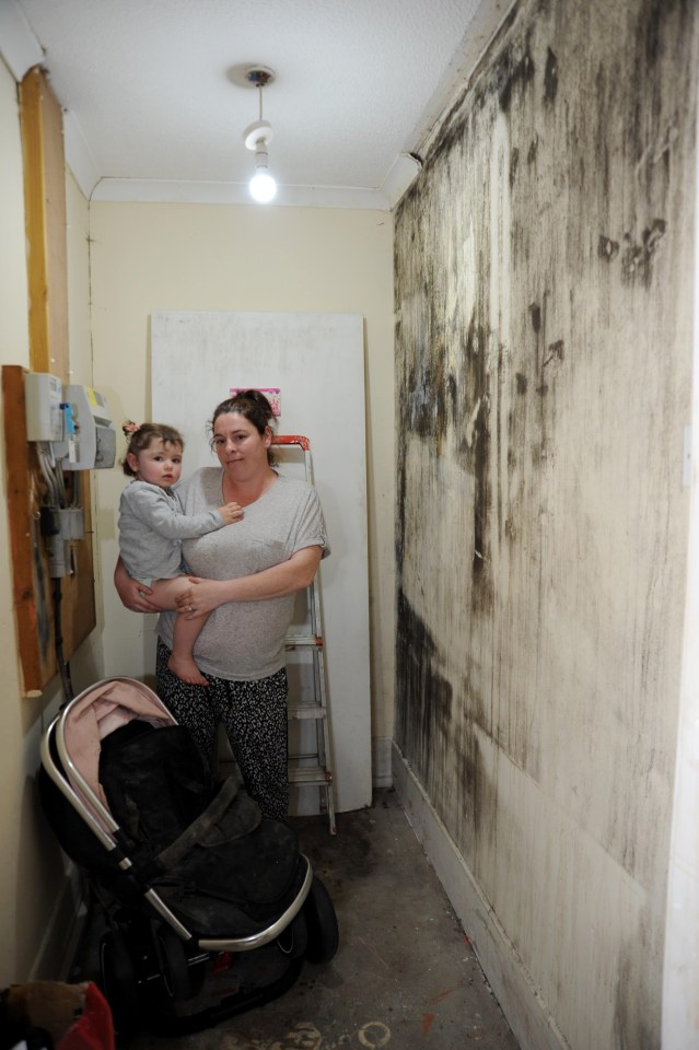 Ms Devlin says the council have not found a solution for the damp for the last seven years