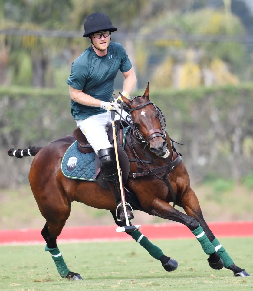 Harry joined a team with friend and sportsman Nacho Figueras